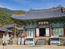 The 6 Most Fascinating Filming Areas for Jirisan Drama