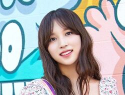 Mina TWICE’s profile that was rumored to be with NCT’s Jeno, the nomad from Japan and had an anxiousness dysfunction